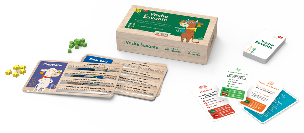 Conception sur-mesure de jeux sérieux. Jeux pédagogiques adaptés aux entreprises, organisations, écoles, centres de formations.